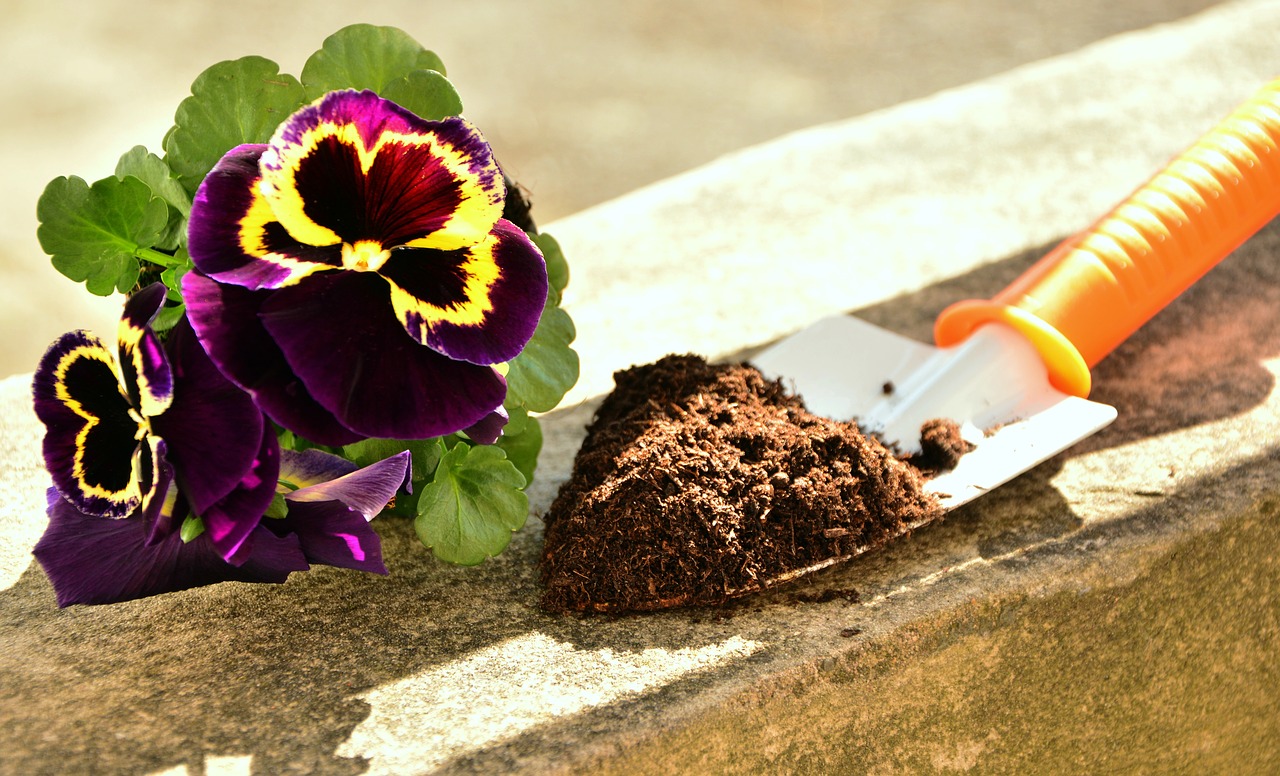 Der Garten im März 2019
