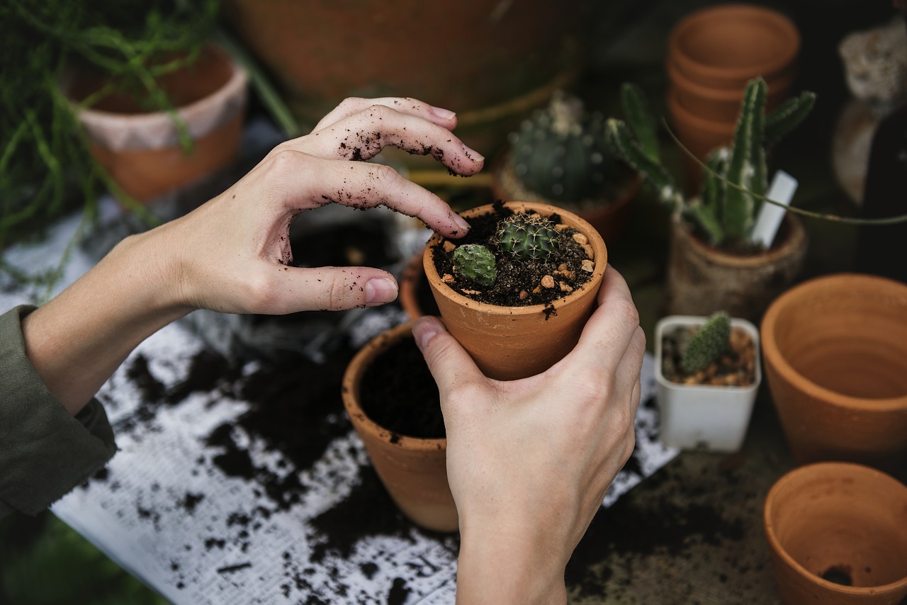 Der Garten im Februar 2022