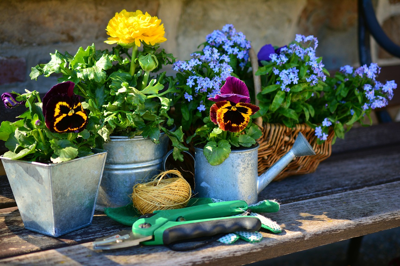Der Garten im Juli 2019