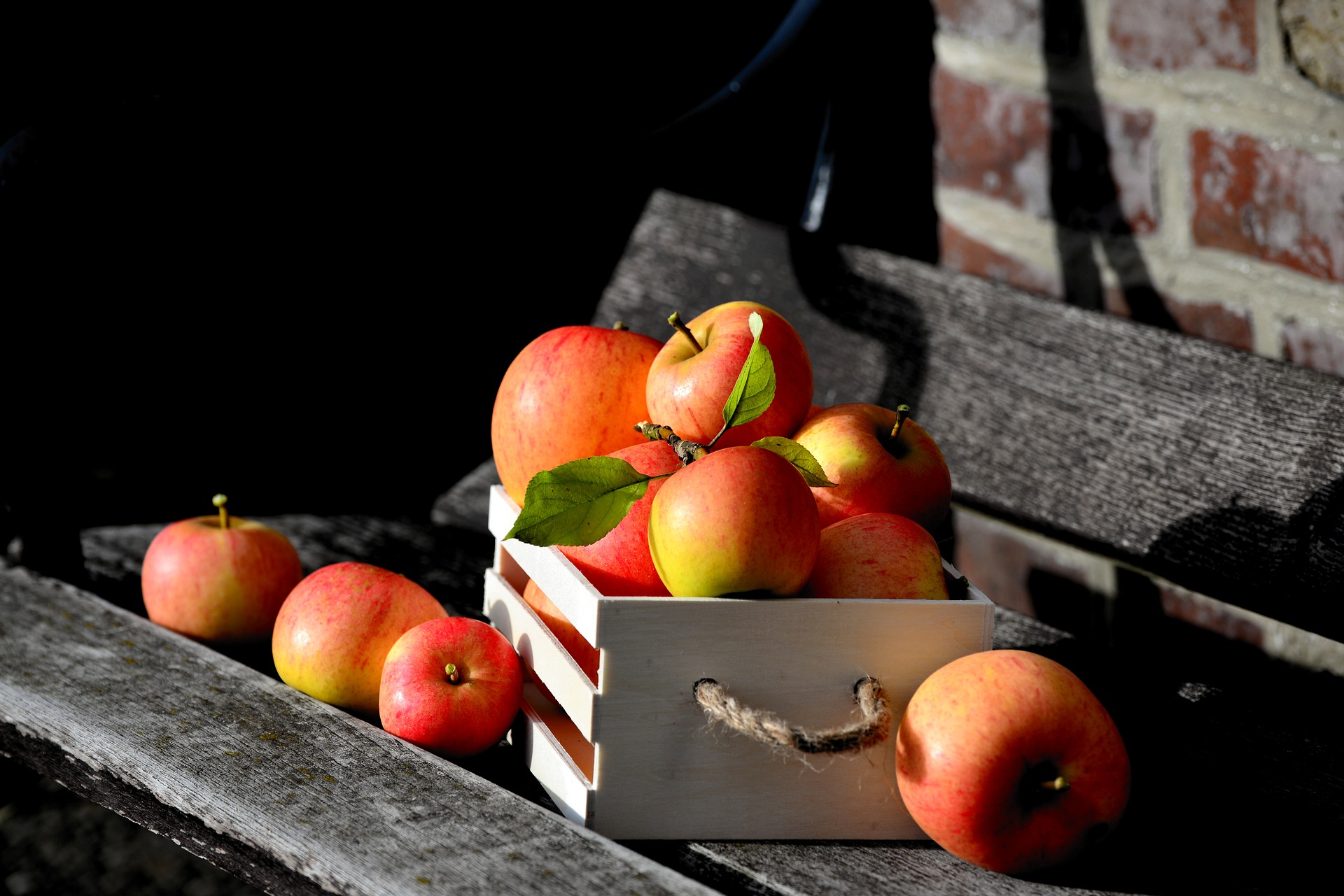 Der Garten im September 2020